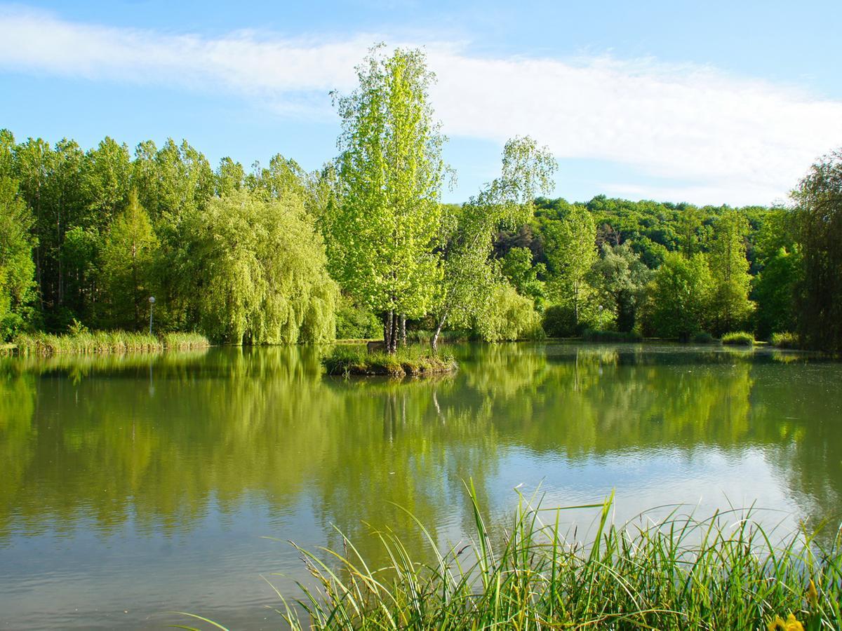 Le Domaine De L'Etang De Sandanet Issac Ngoại thất bức ảnh